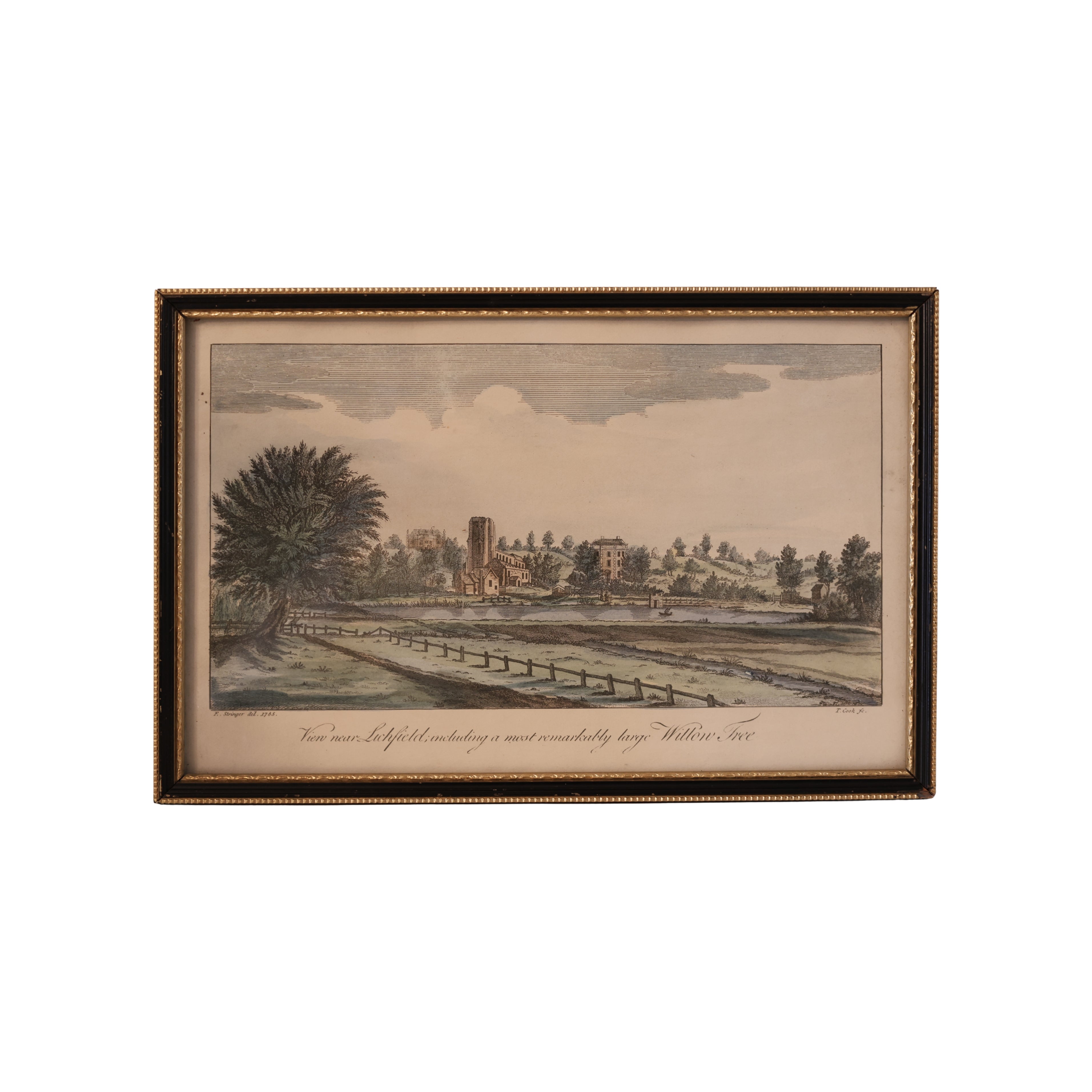 18th c. Engraving Landscape of Lichfield, “Remarkably Large Willow Tree”
