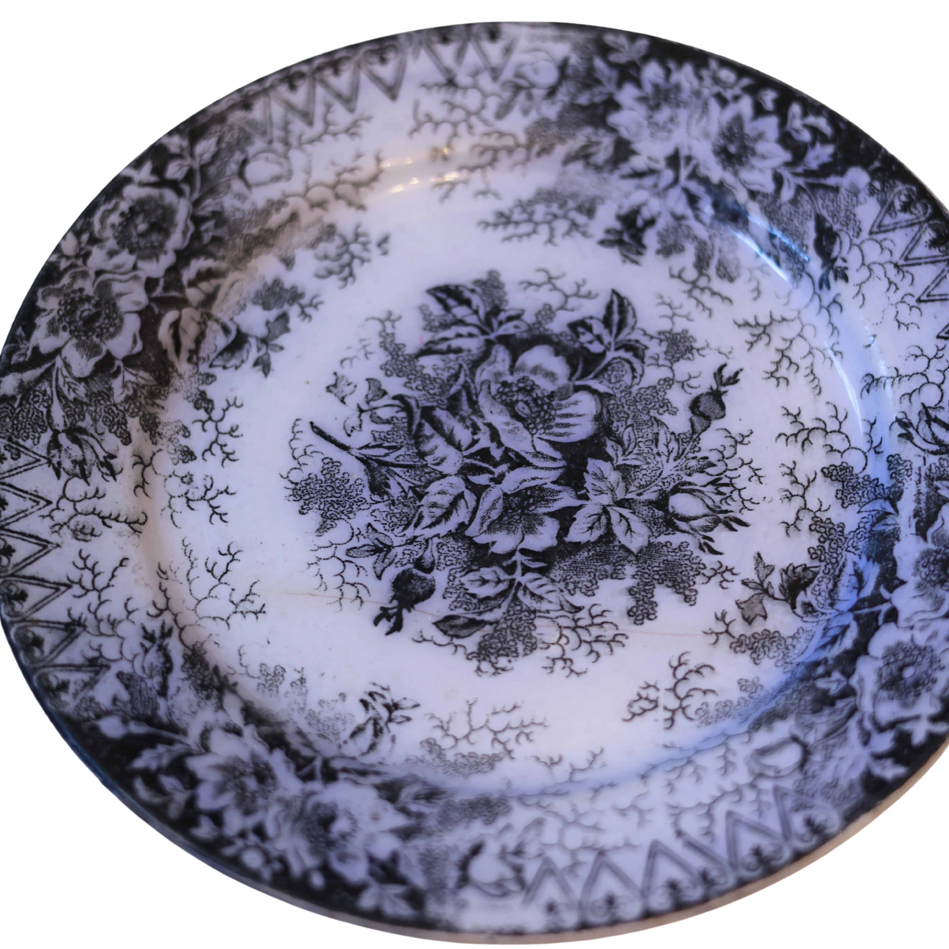 Royal Bonn “Wildrose” Floral Plate