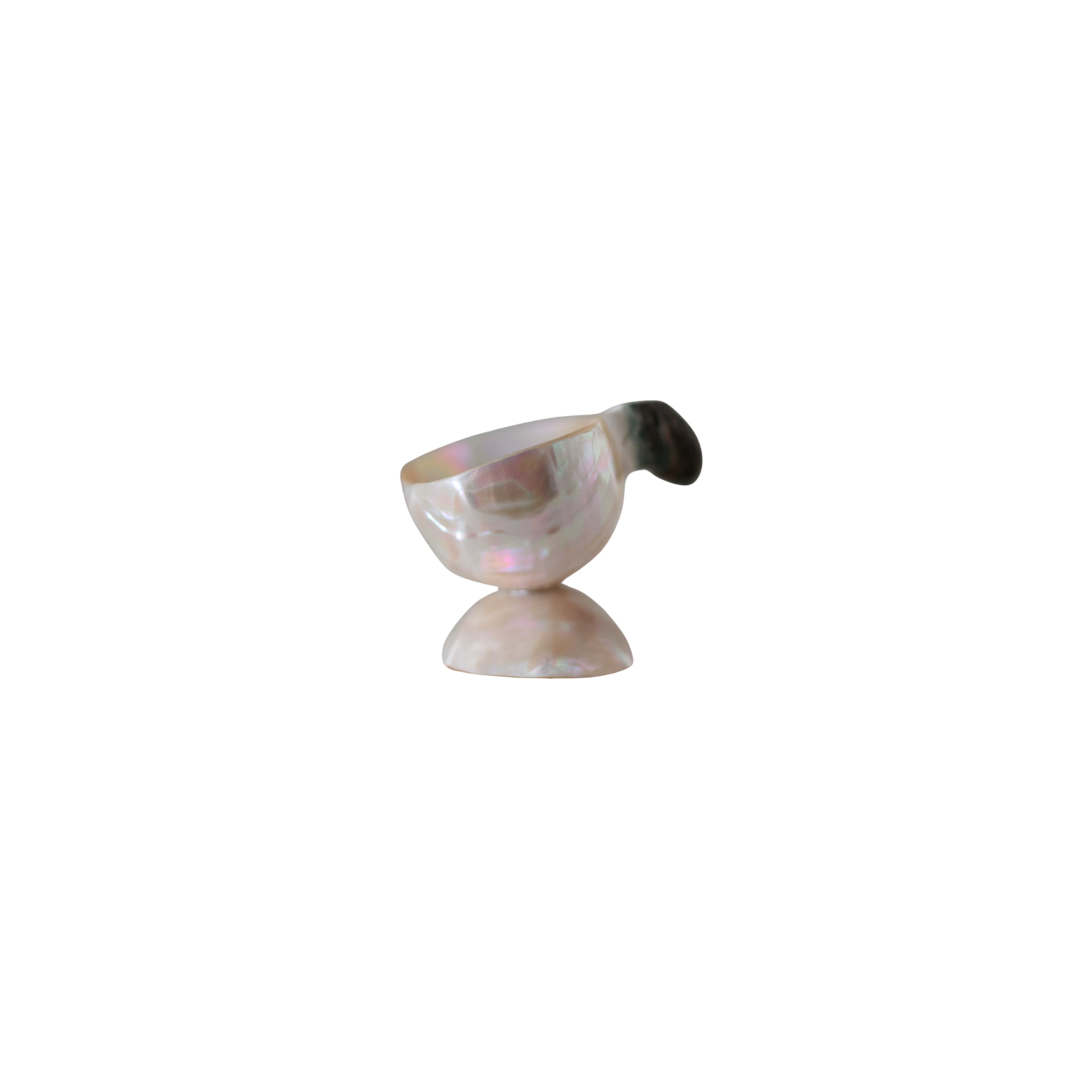 Turbo Shell Caviar Dish with Spoon