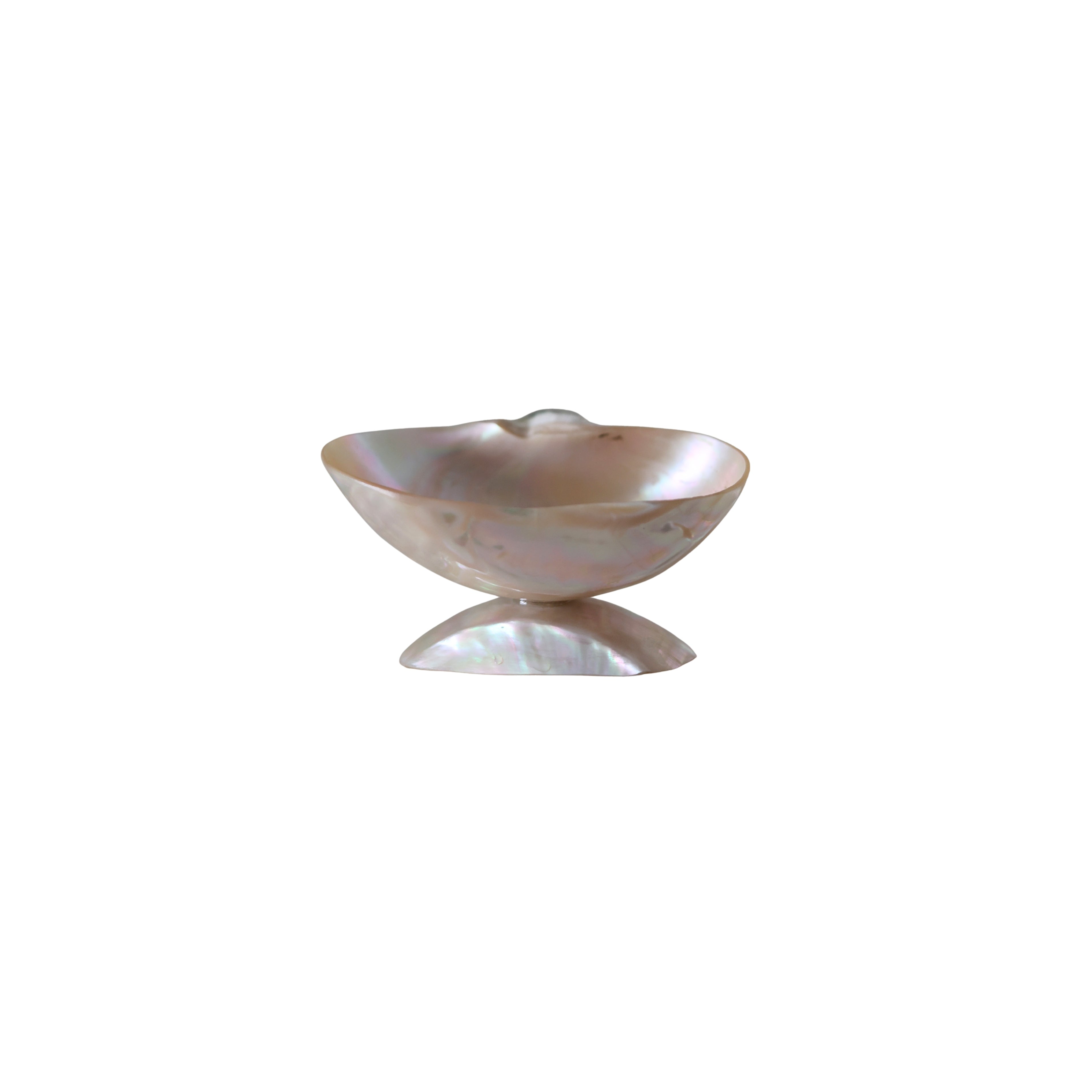 Turbo Shell Caviar Dish with Spoon