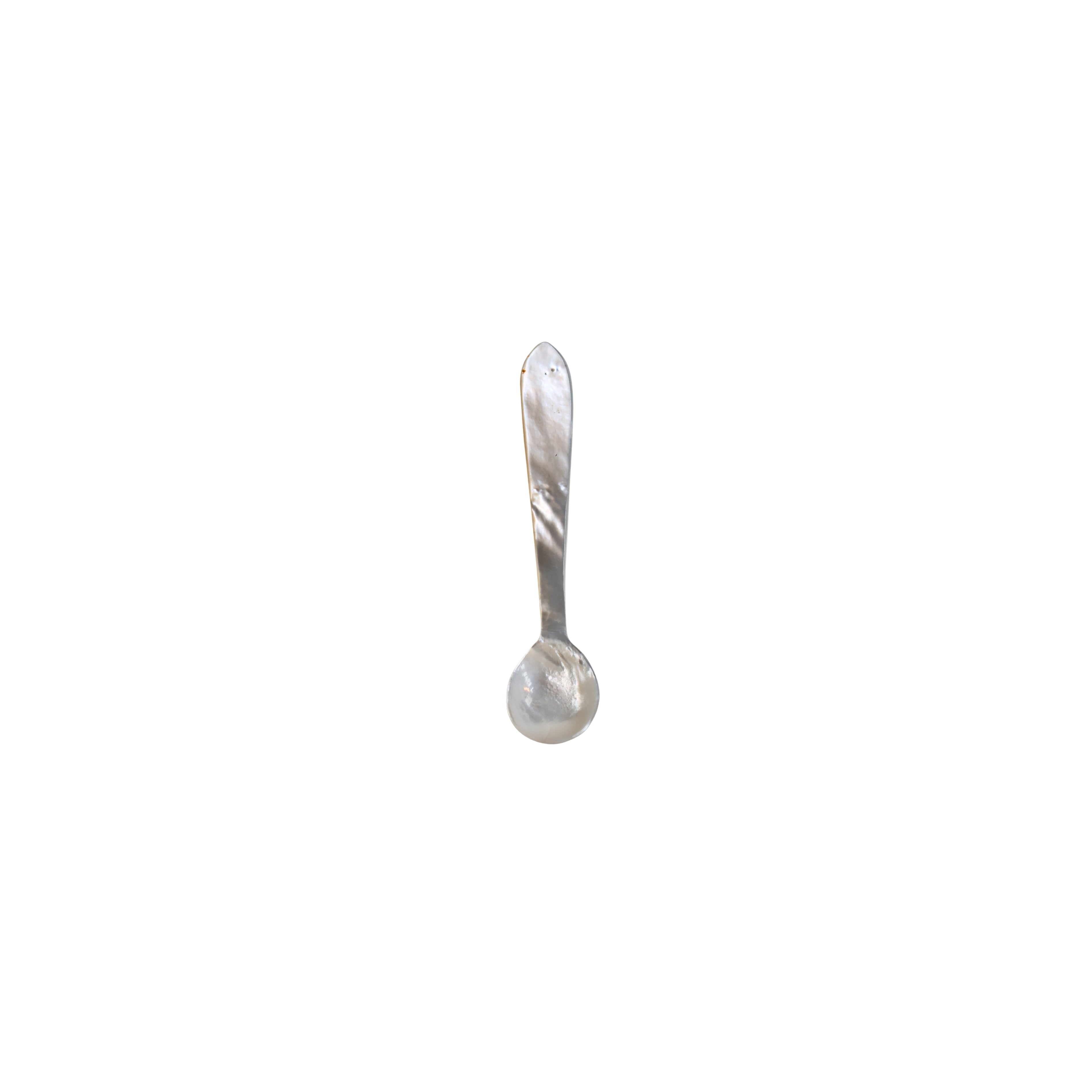 Turbo Shell Caviar Dish with Spoon