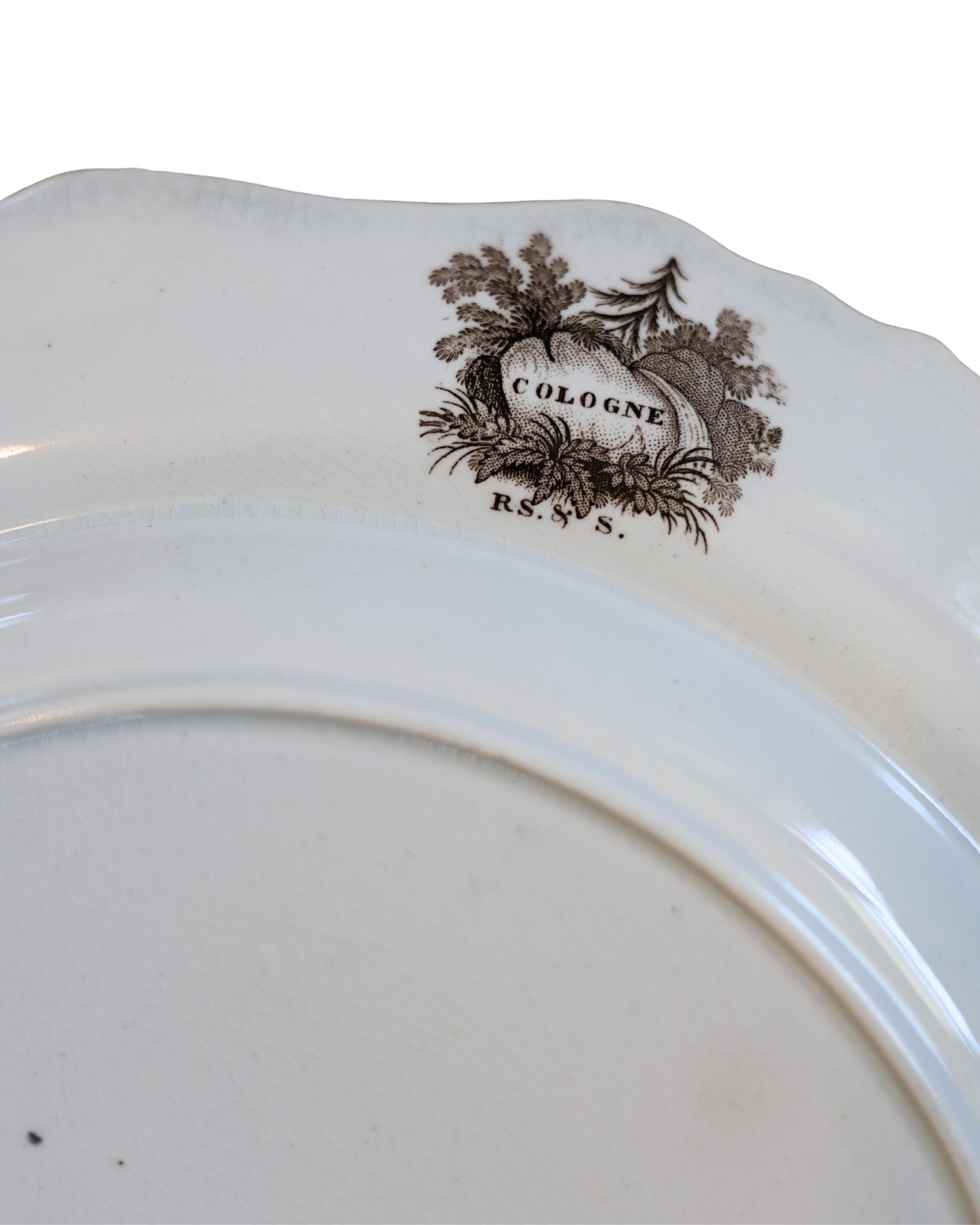 Ralph Stevenson & Son “Cologne” Dinner Plate-5