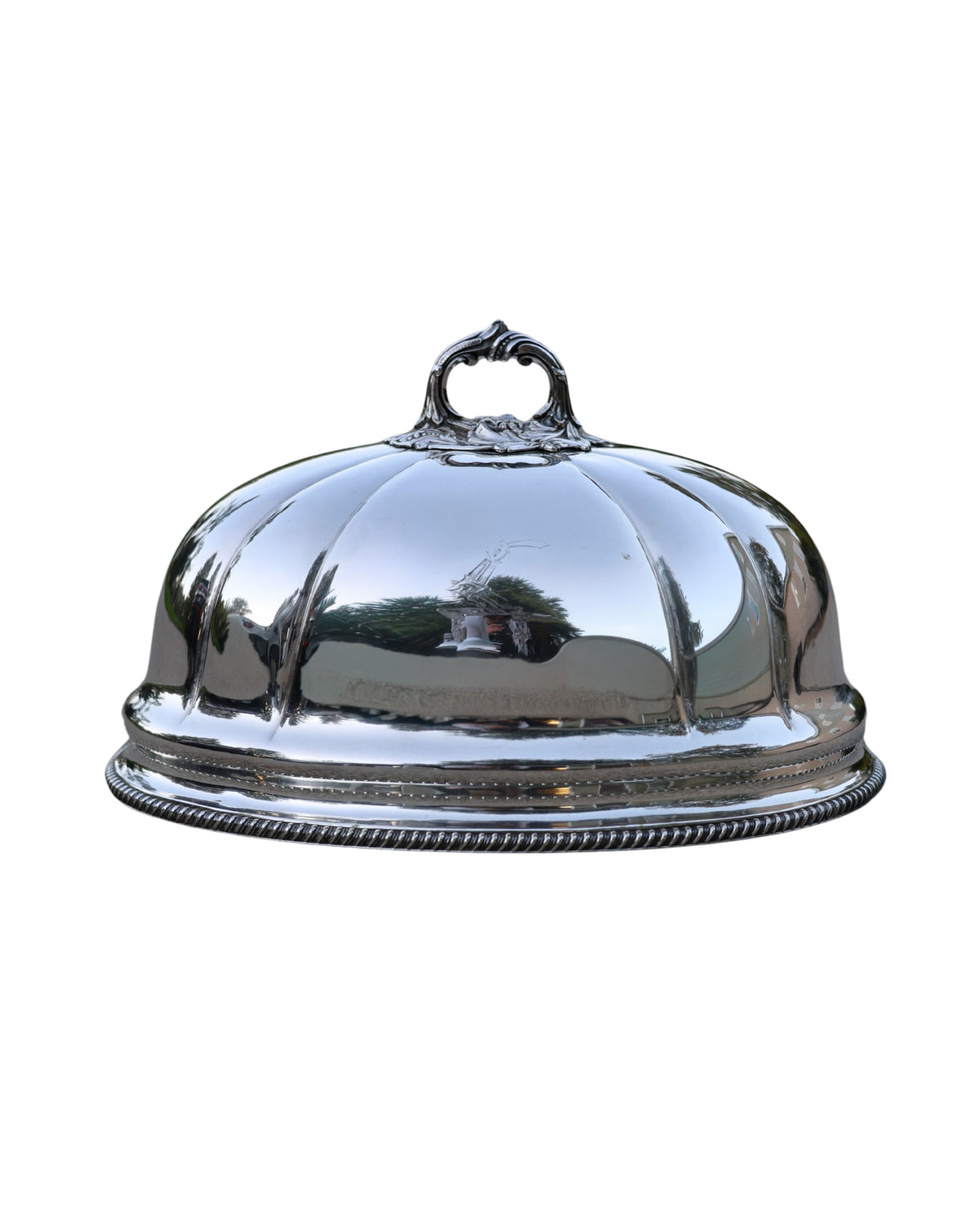Arm in Armor Meat Dome-2