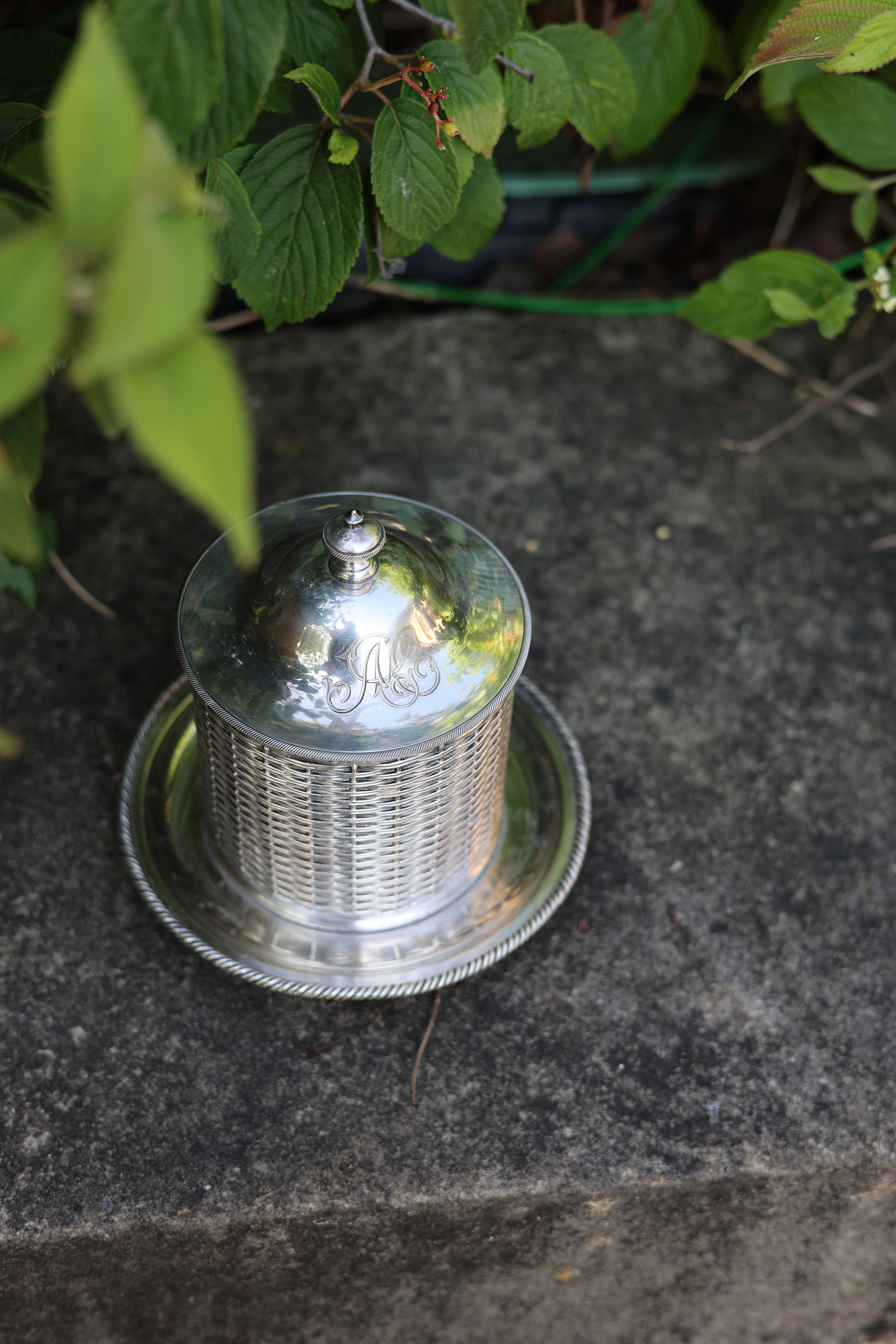 Martin Hall & Co. English Silverplate Condensed Milk Holder