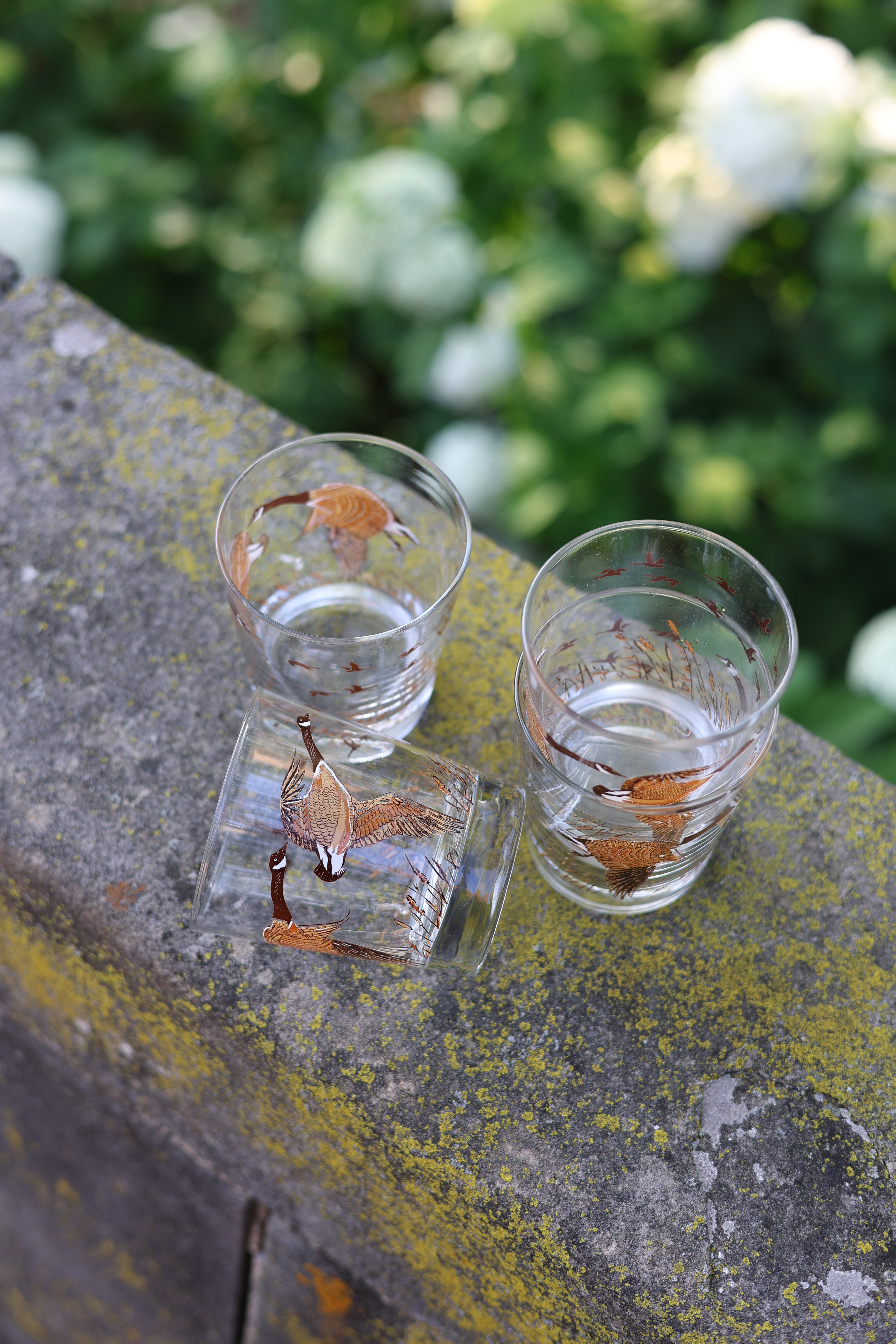 Flying Canadian Geese Rocks Glasses