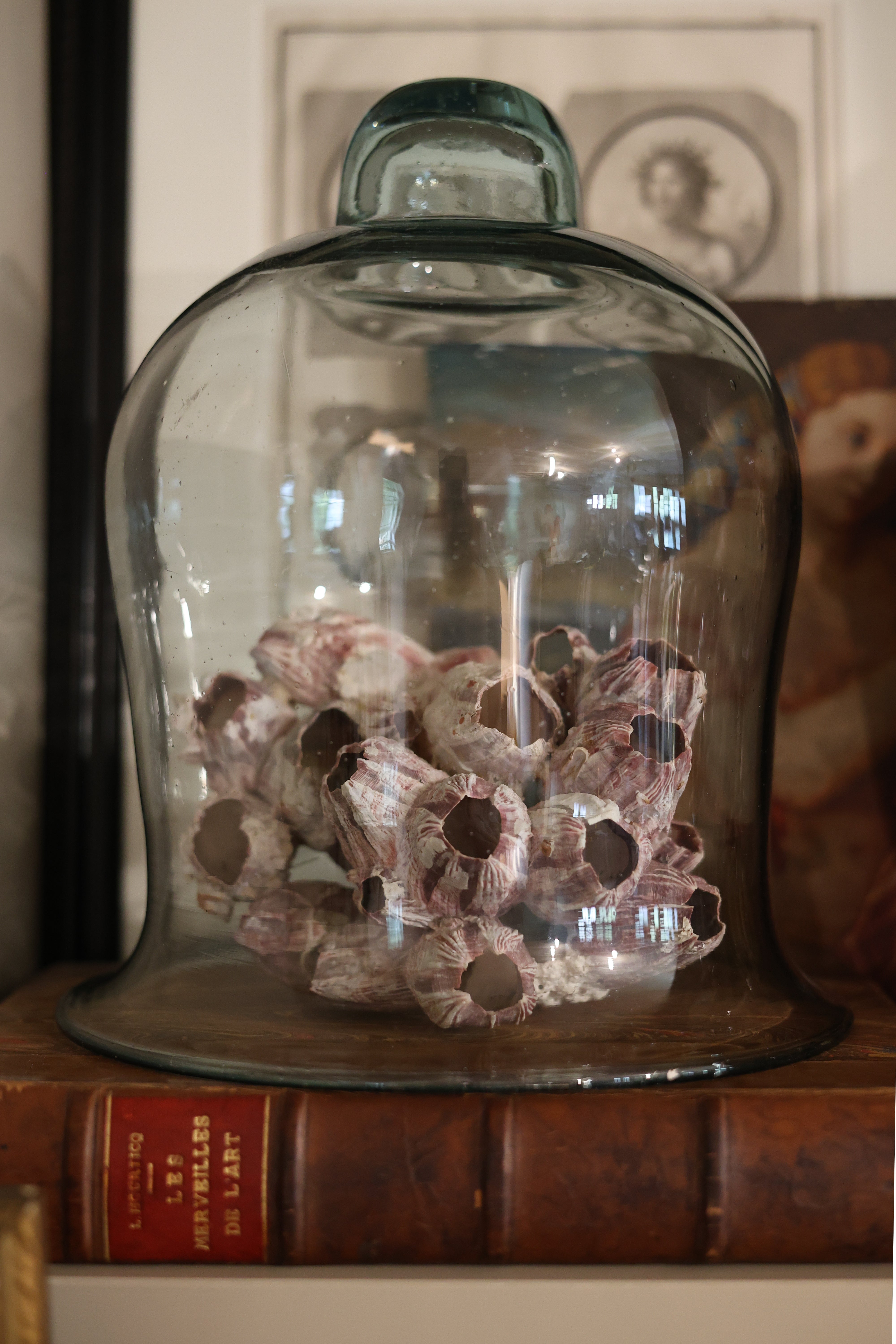 Hand-Blown Glass Bell Jar-1