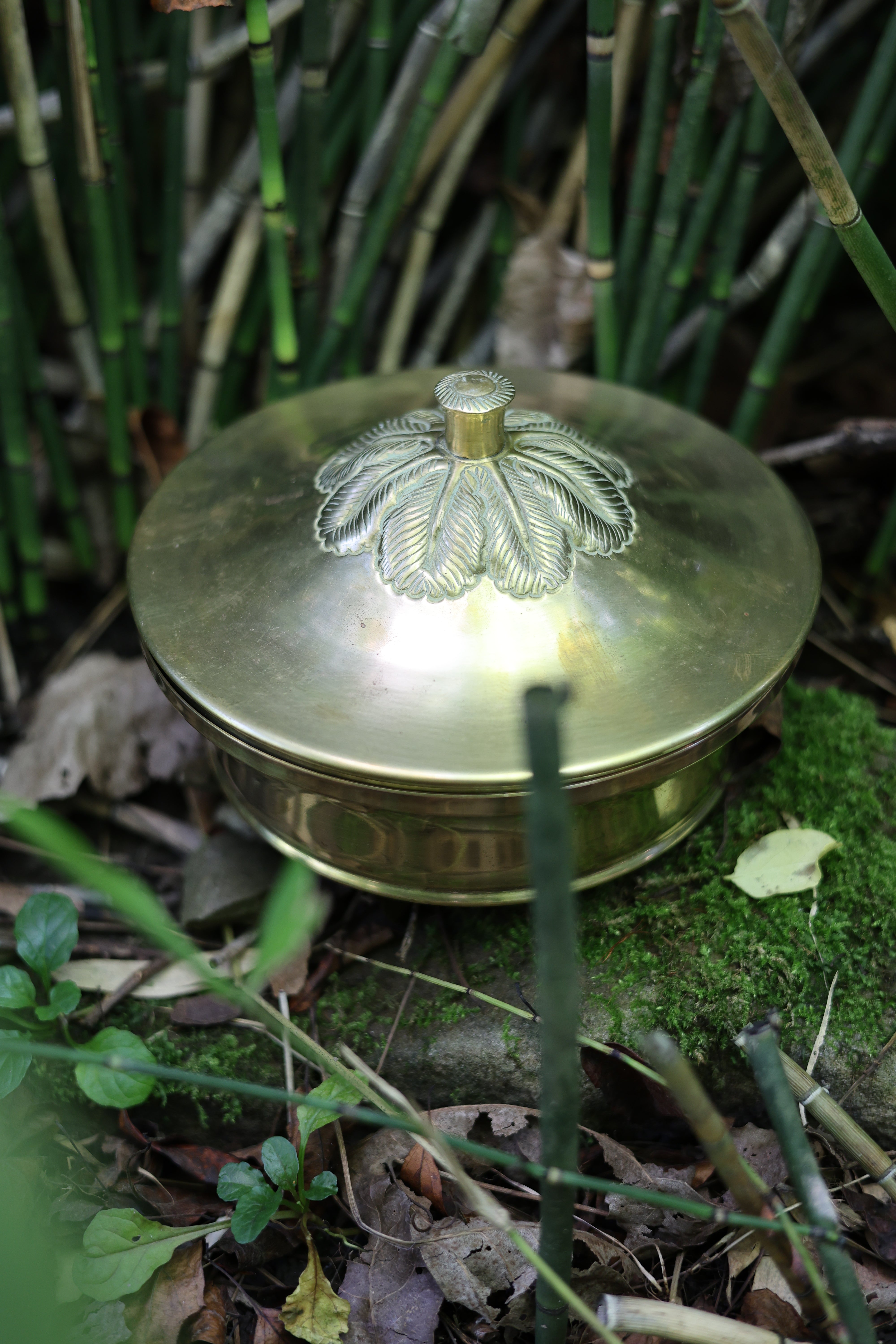 Brass Lidded Foliate Dish-2