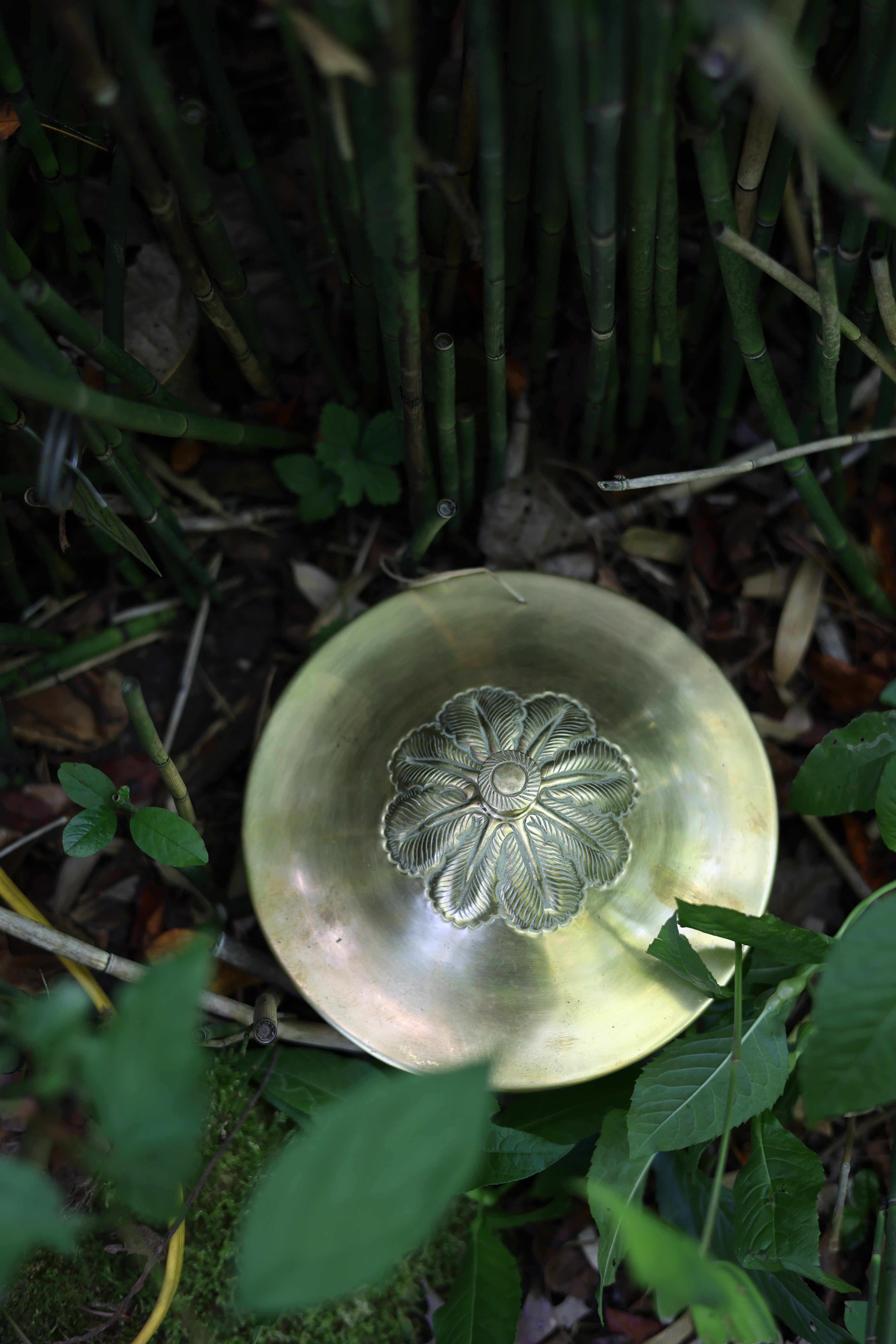 Brass Lidded Foliate Dish-1