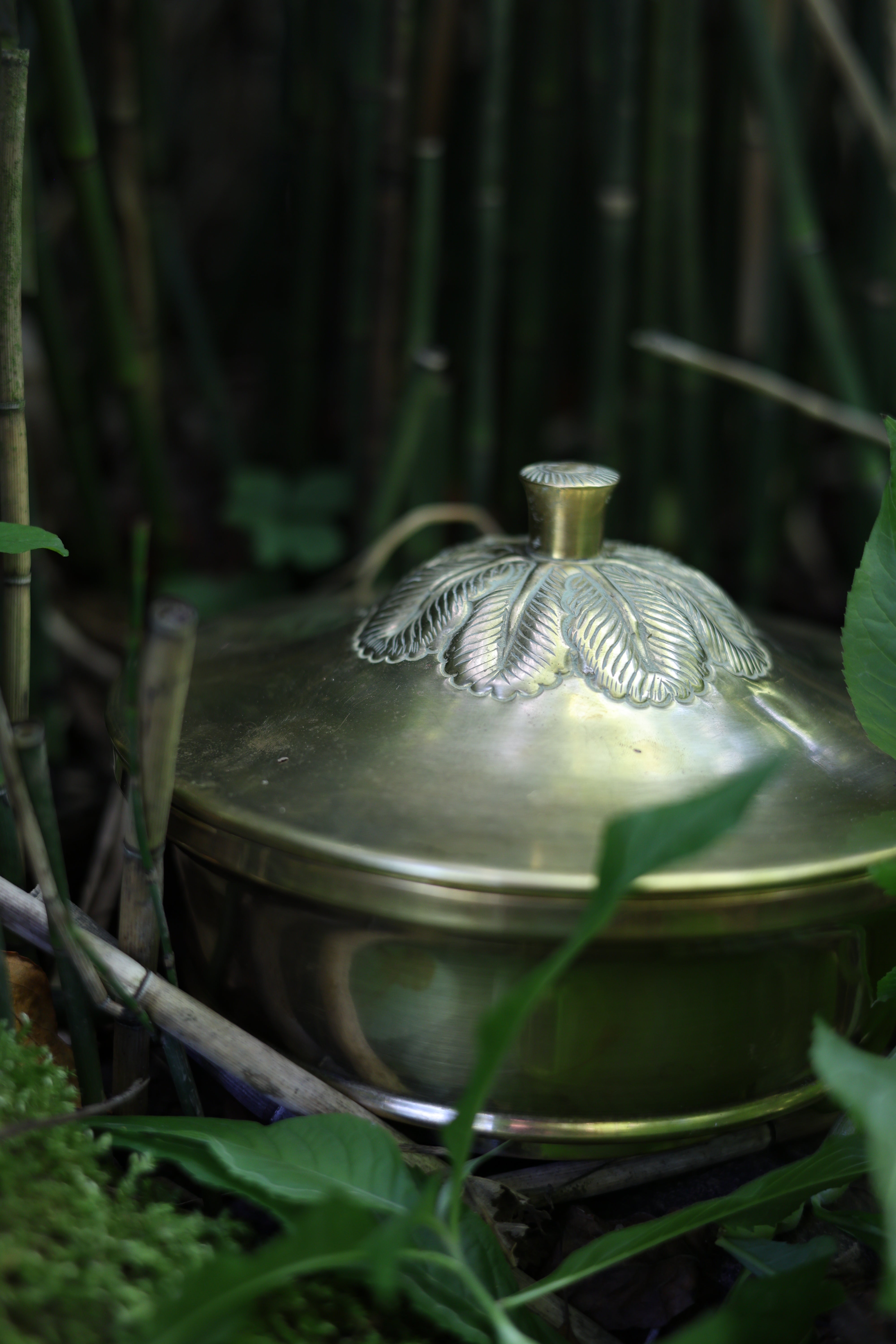 Brass Lidded Foliate Dish-3