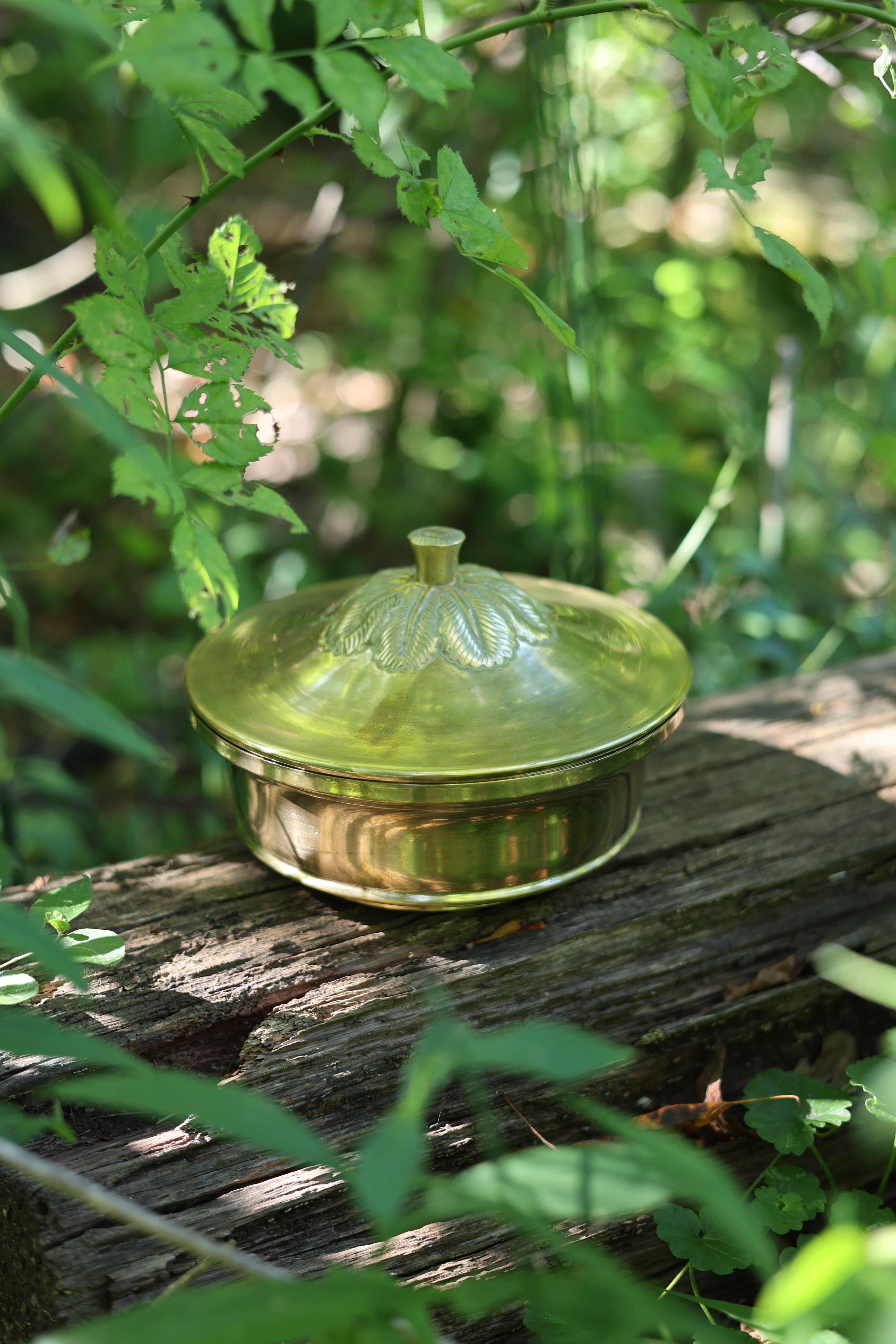 Brass Lidded Foliate Dish-4