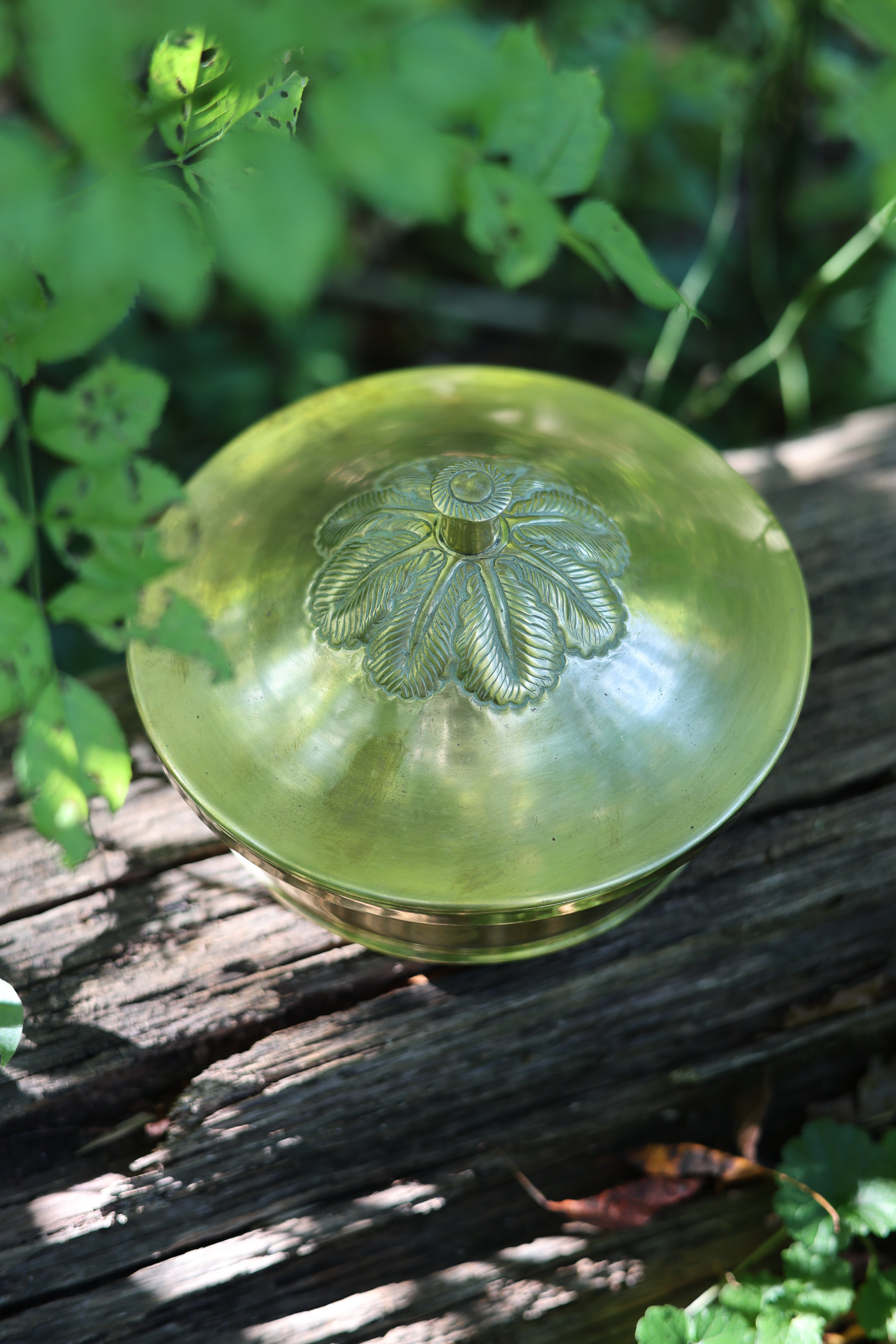 Brass Lidded Foliate Dish-5