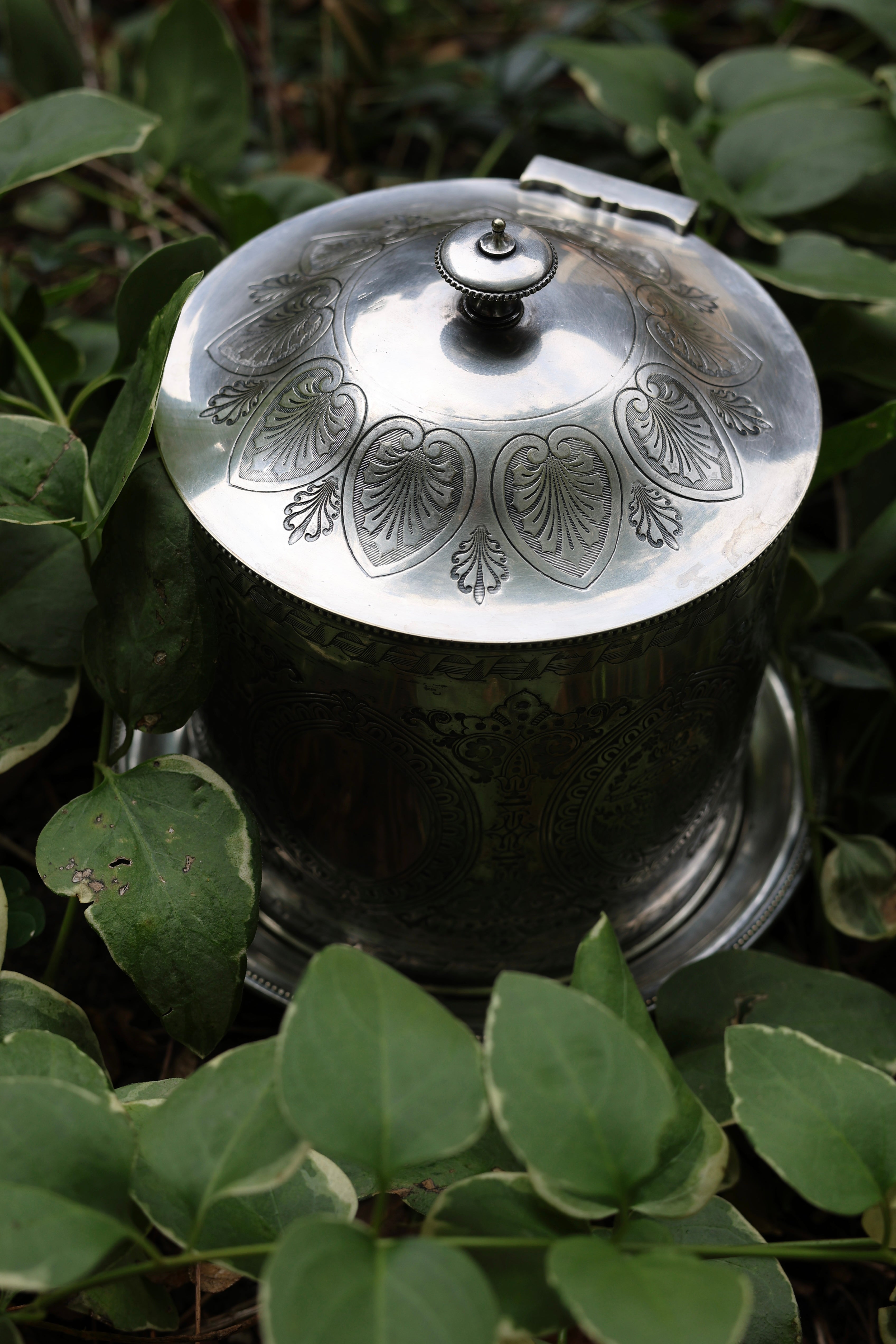 English Silver Plate Foliate Biscuit Jar-1