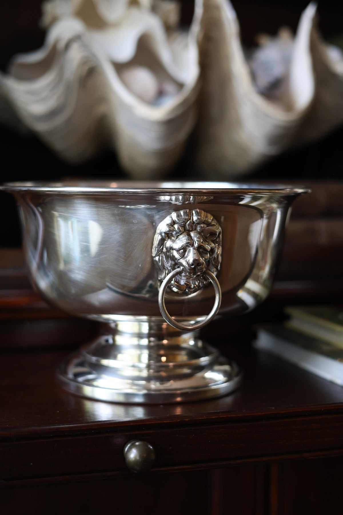A polished silver pedestal bowl with a lion head ring handle, displayed on a dark wooden surface with a blurred background of large seashells.