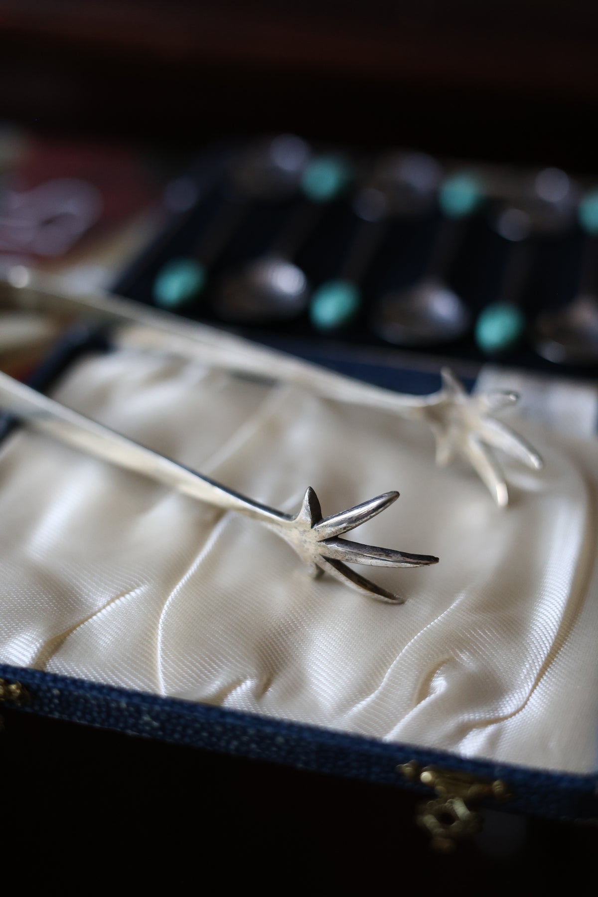 Claw Ice Tongs-3