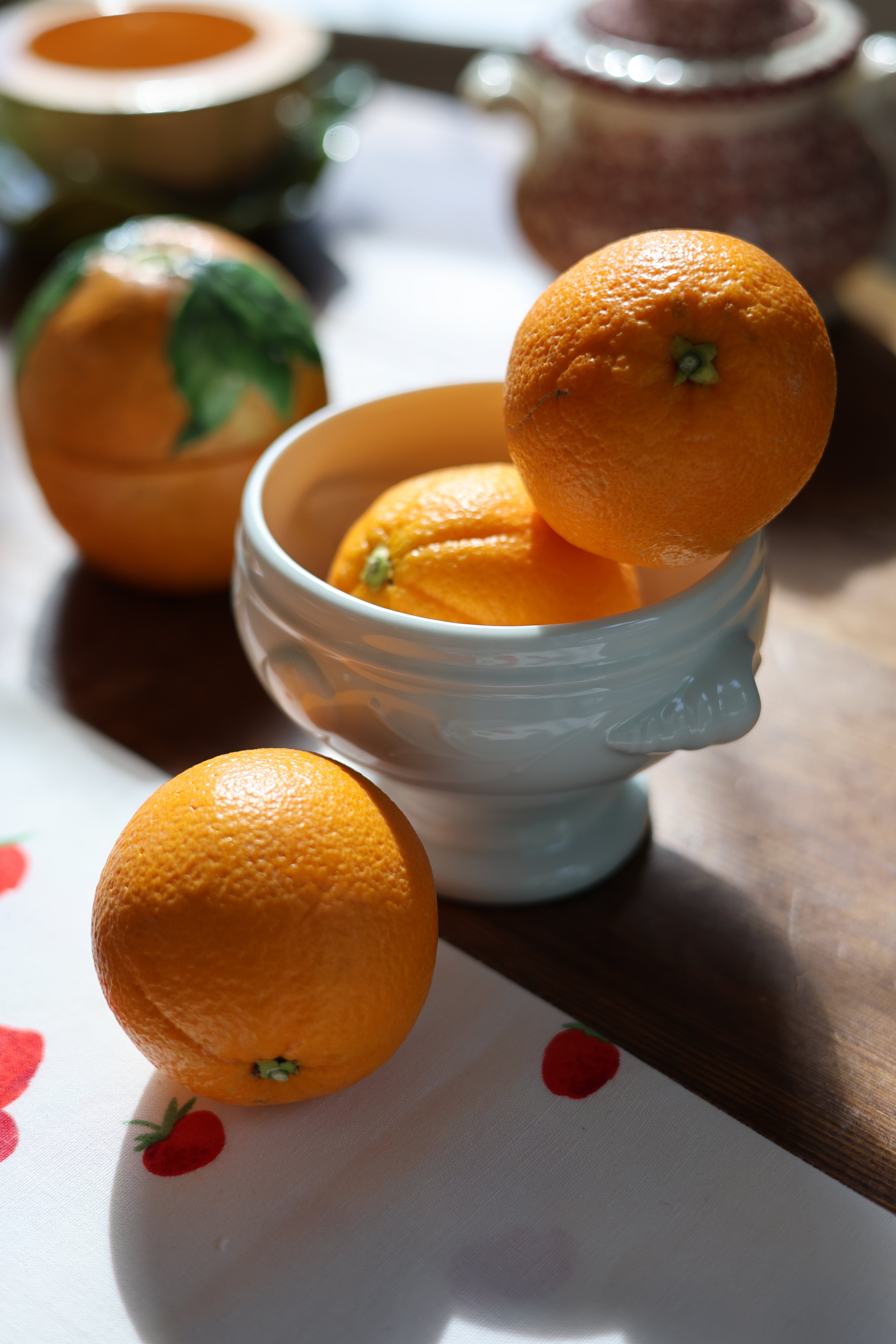 Aplico "Ocean" Bistro Shell Bowls-6