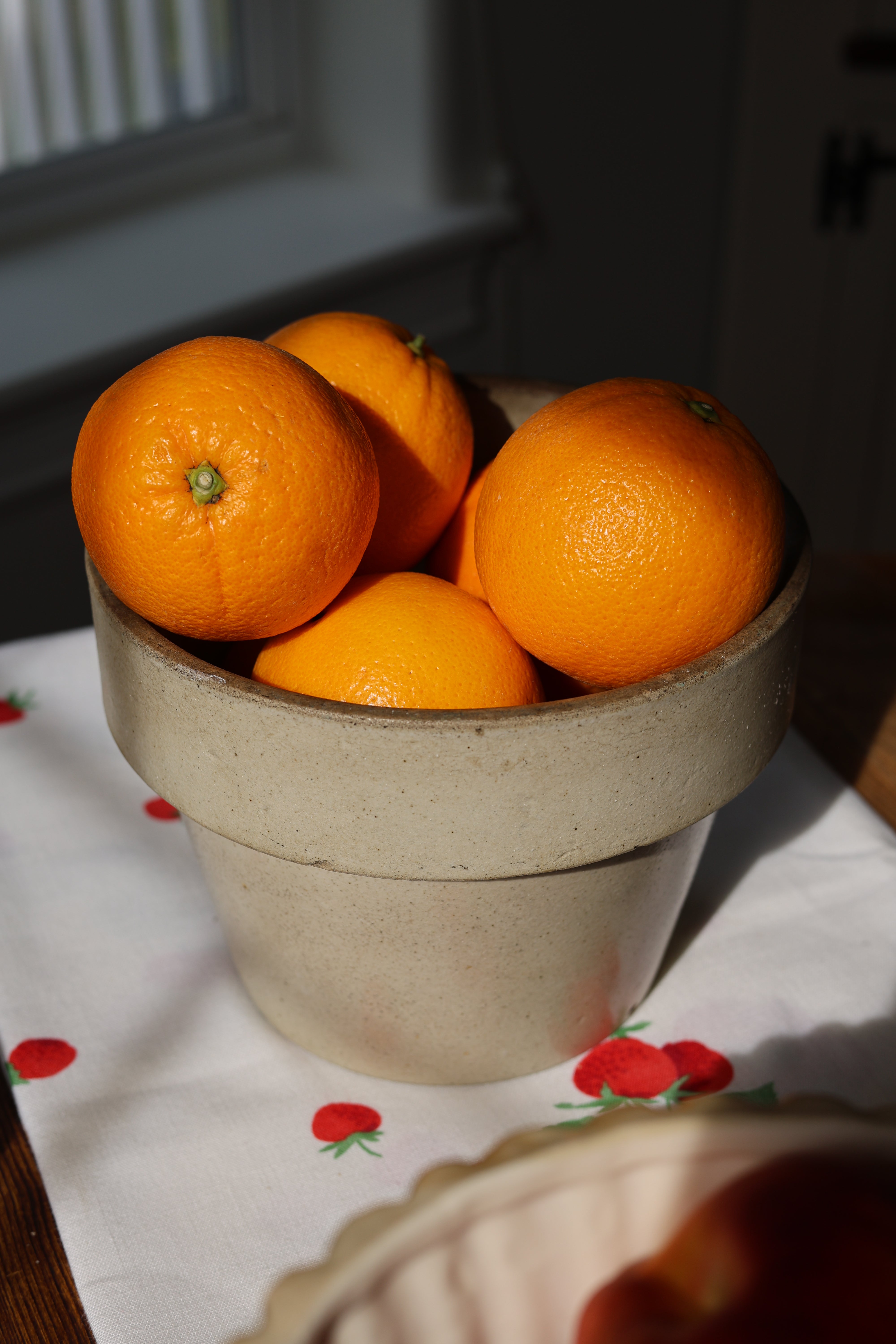 Stoneware Planter Crock