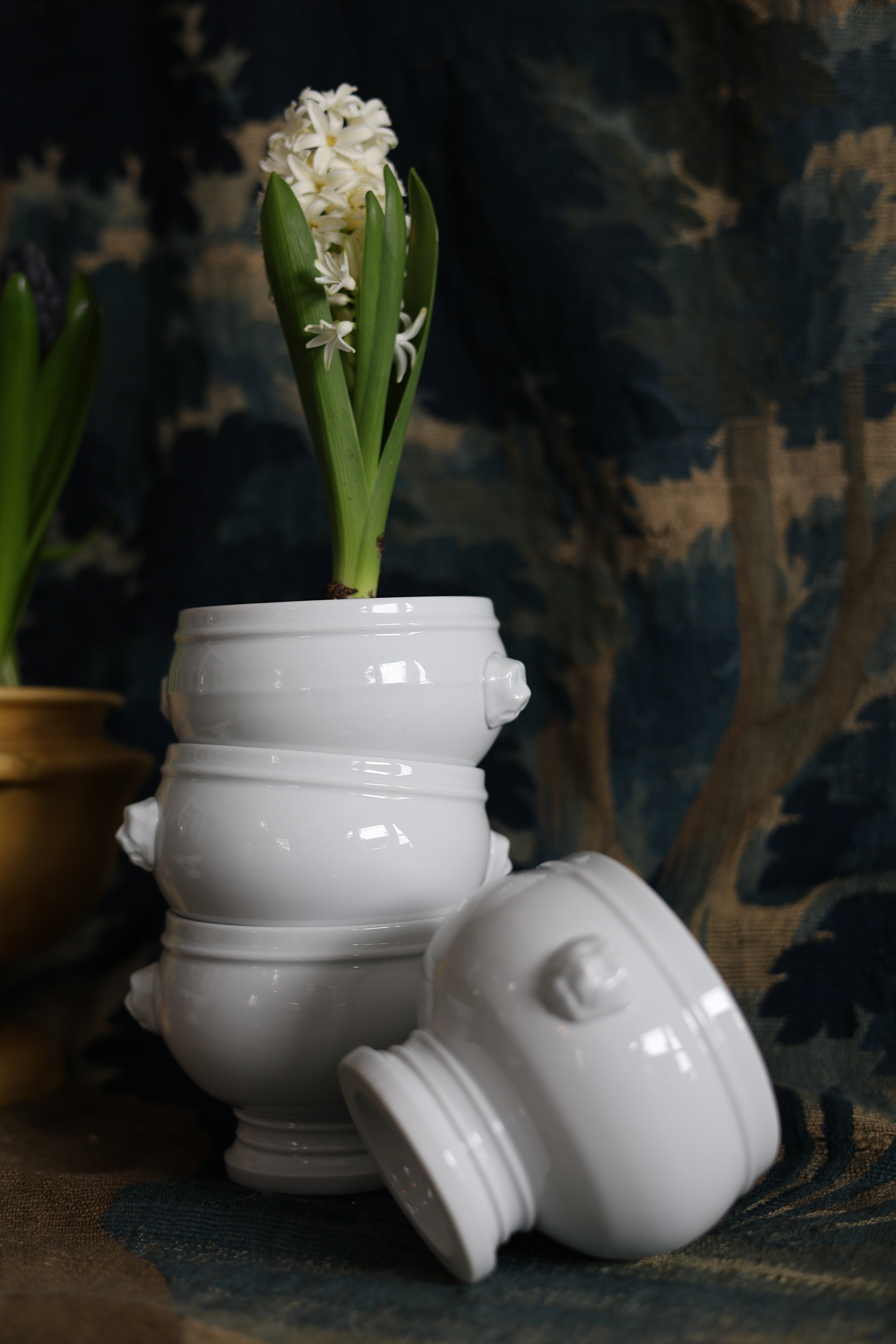 French Pillivuyt Lion Head Porcelain Soup Bowls