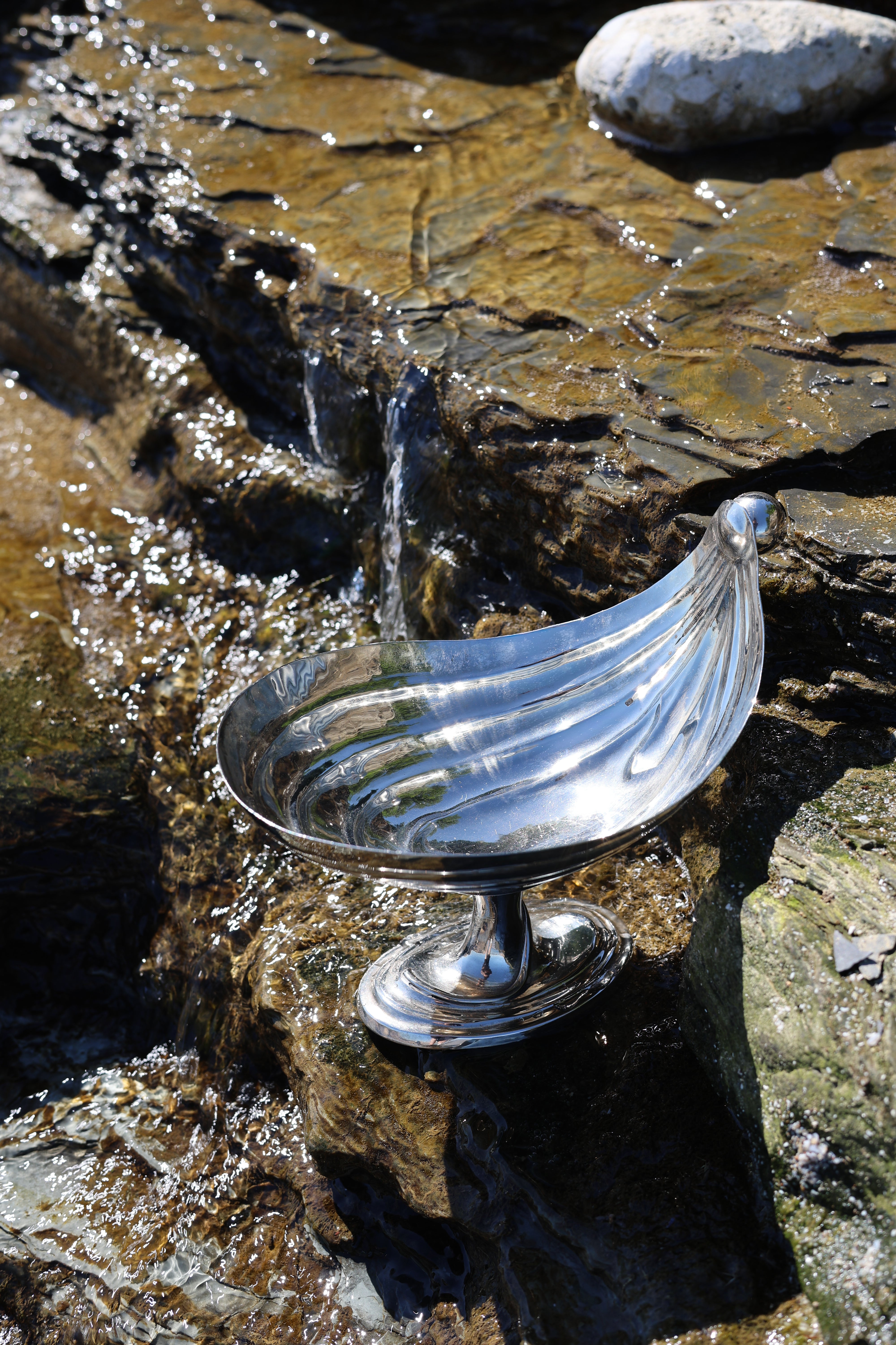 Oyster Shell Pedestal Bowls