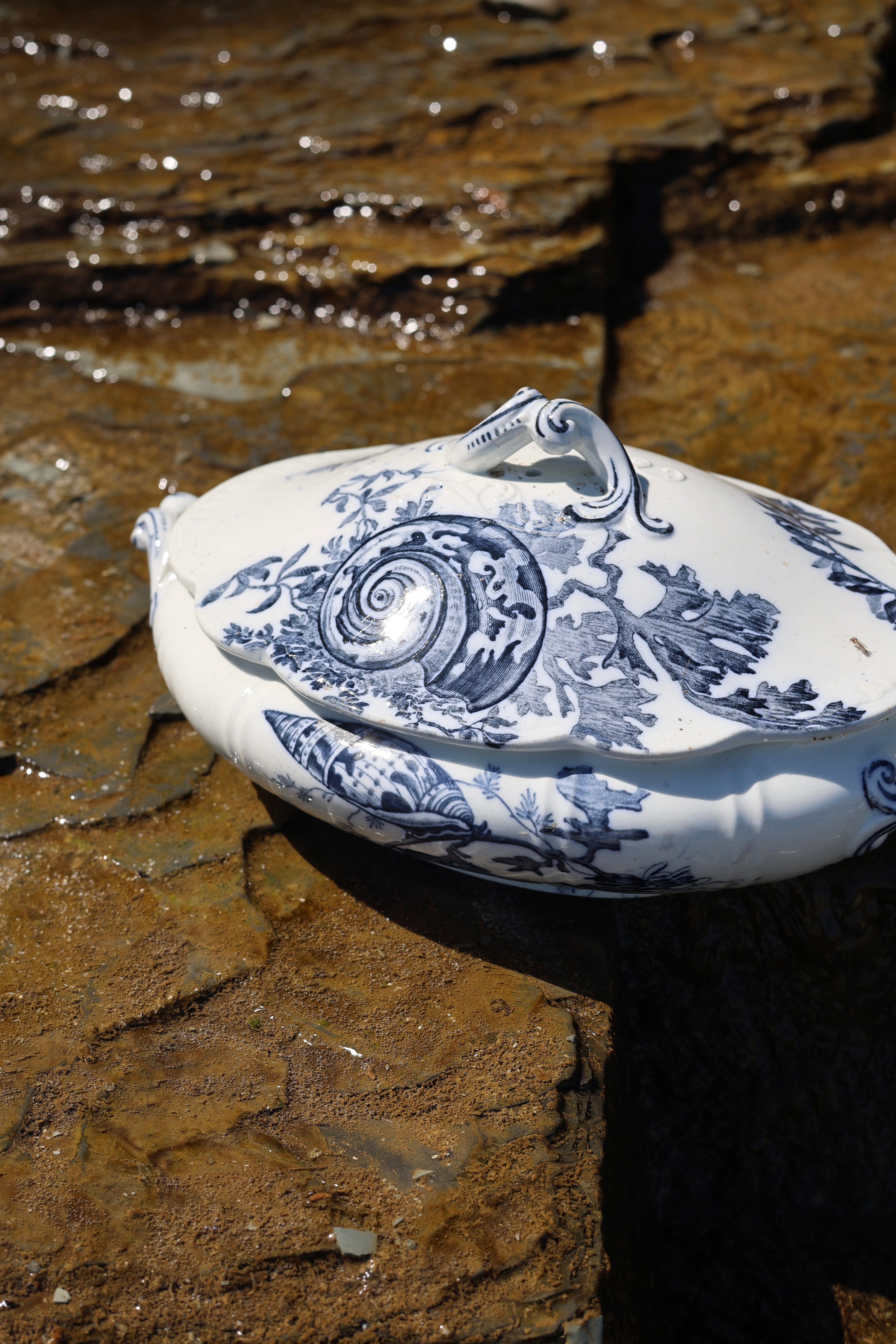 c. 1870 Wedgwood "Neptune" Covered Dish