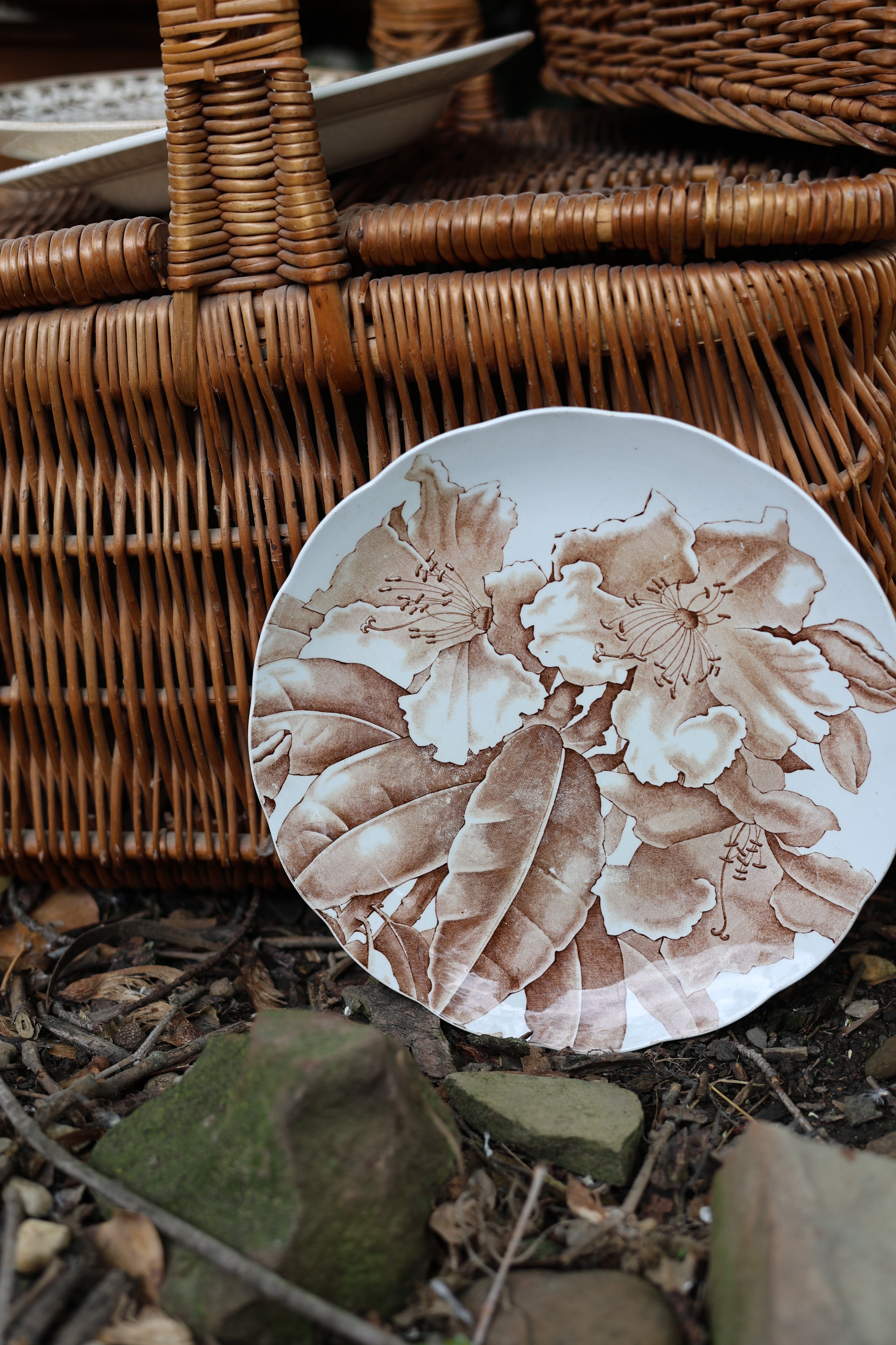 c. 1885 "Kew" Brown-Westhead, Moore & Co. Floral Plate
