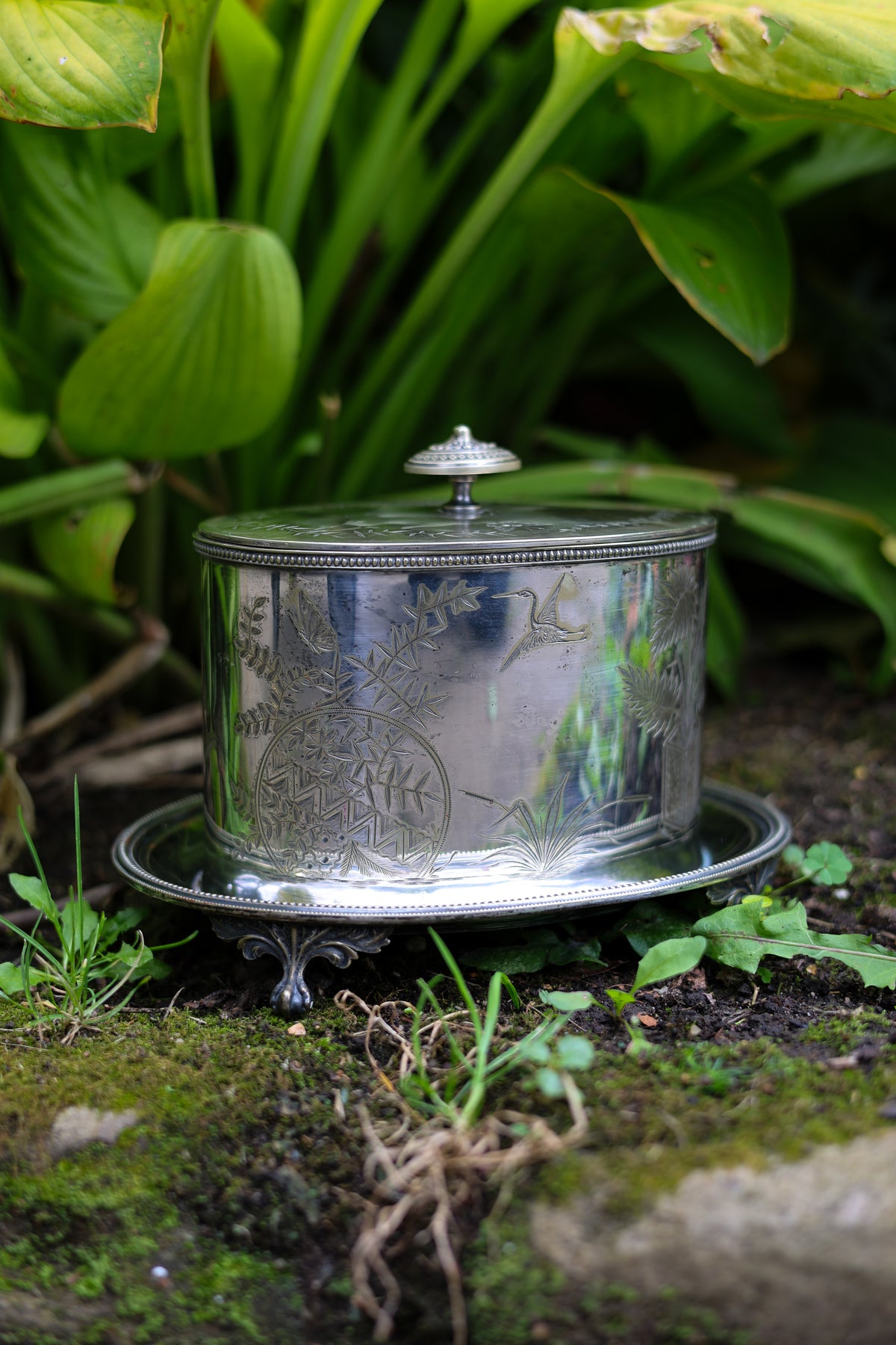 G&S Aesthetic Movement Silver Plate Biscuit Barrel-2