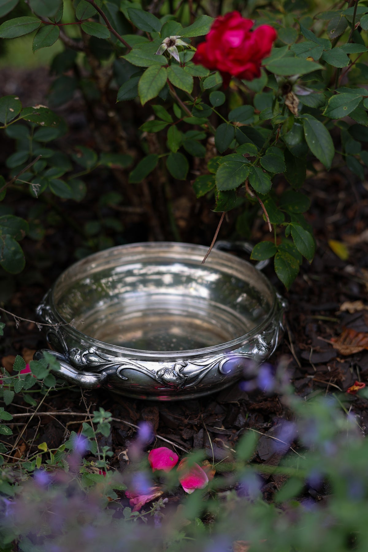 Reed & Barton Iris Silver Plate Server-2