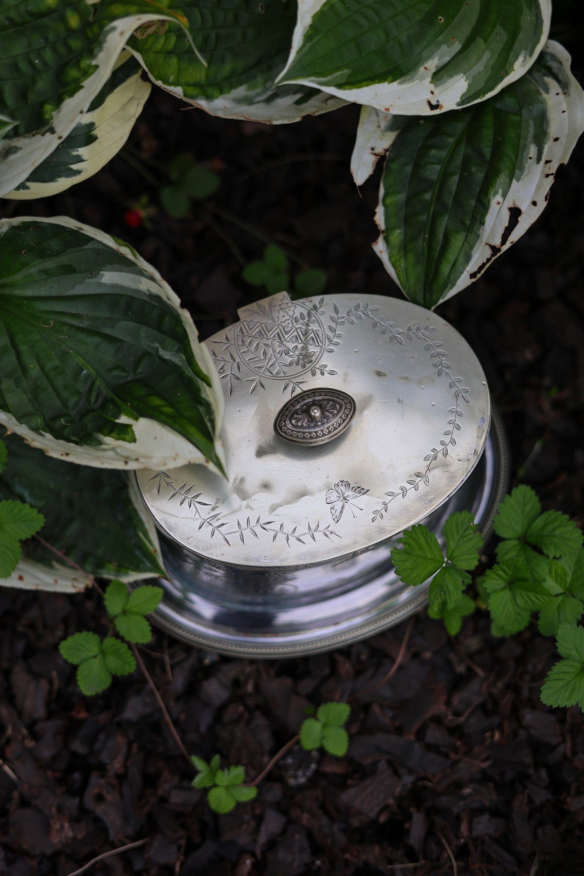 G&S Aesthetic Movement Silver Plate Biscuit Barrel-3
