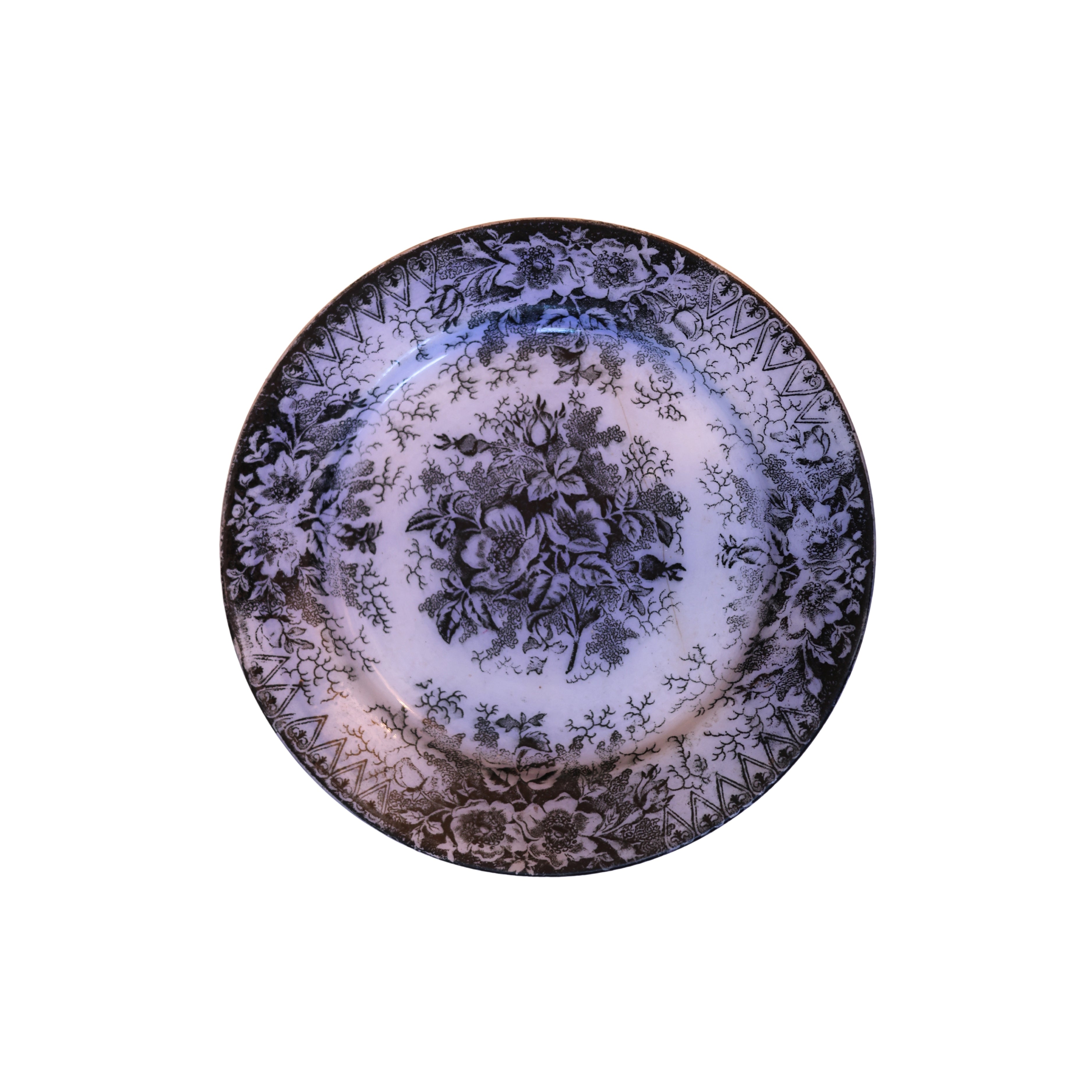 Royal Bonn “Wildrose” Floral Plate