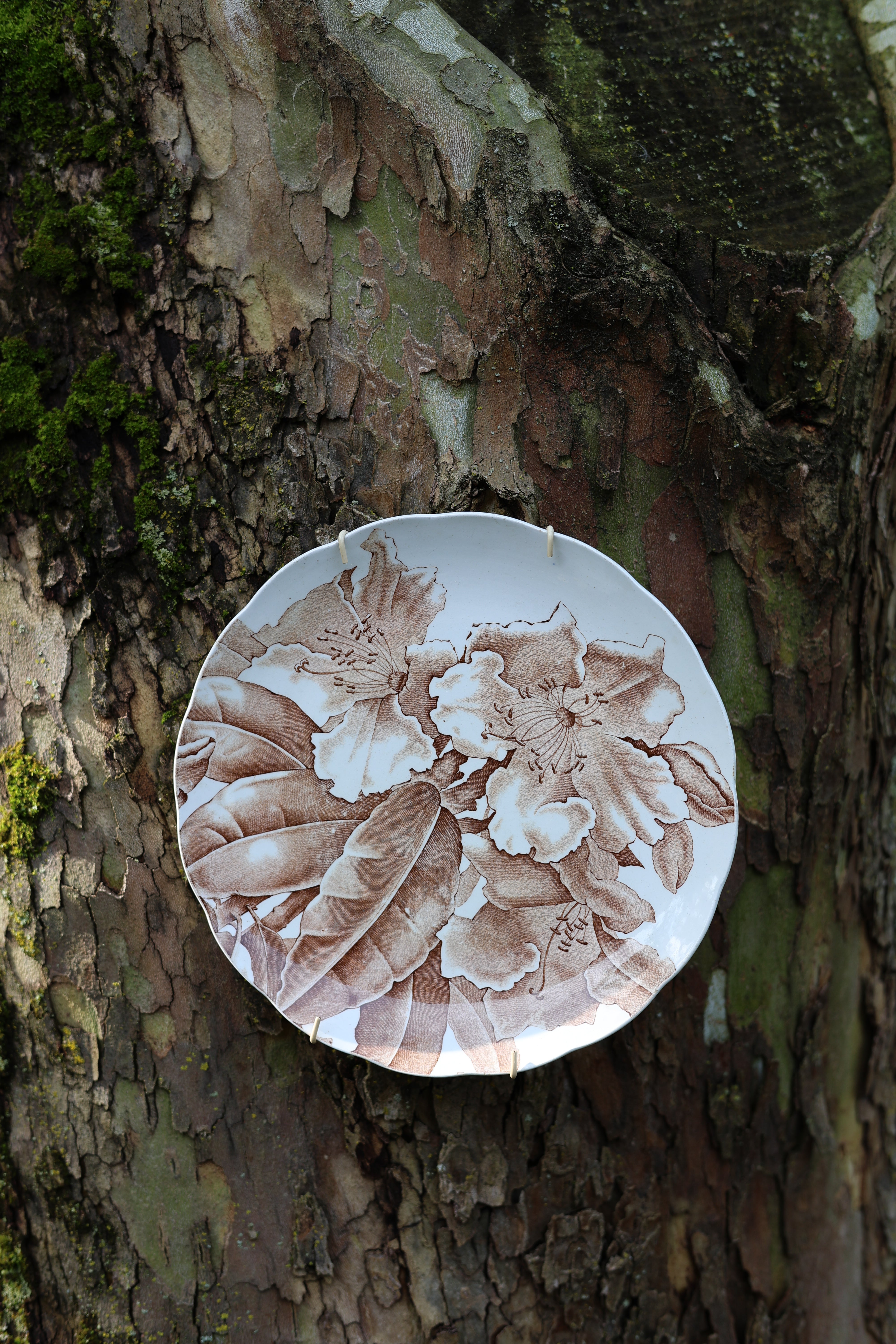 c. 1885 "Kew" Brown-Westhead, Moore & Co. Floral Plate