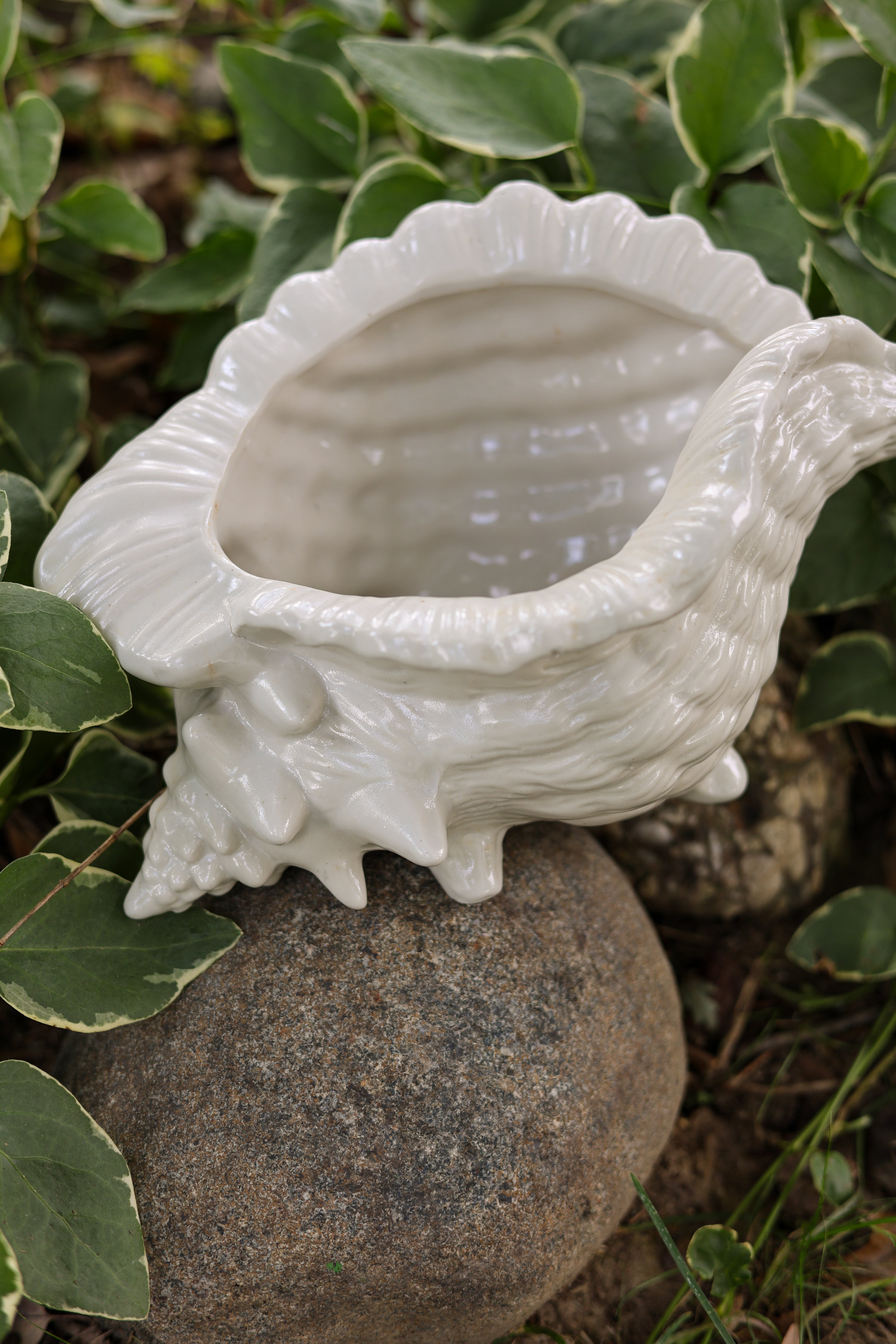 Ceramic Shell Planter-1