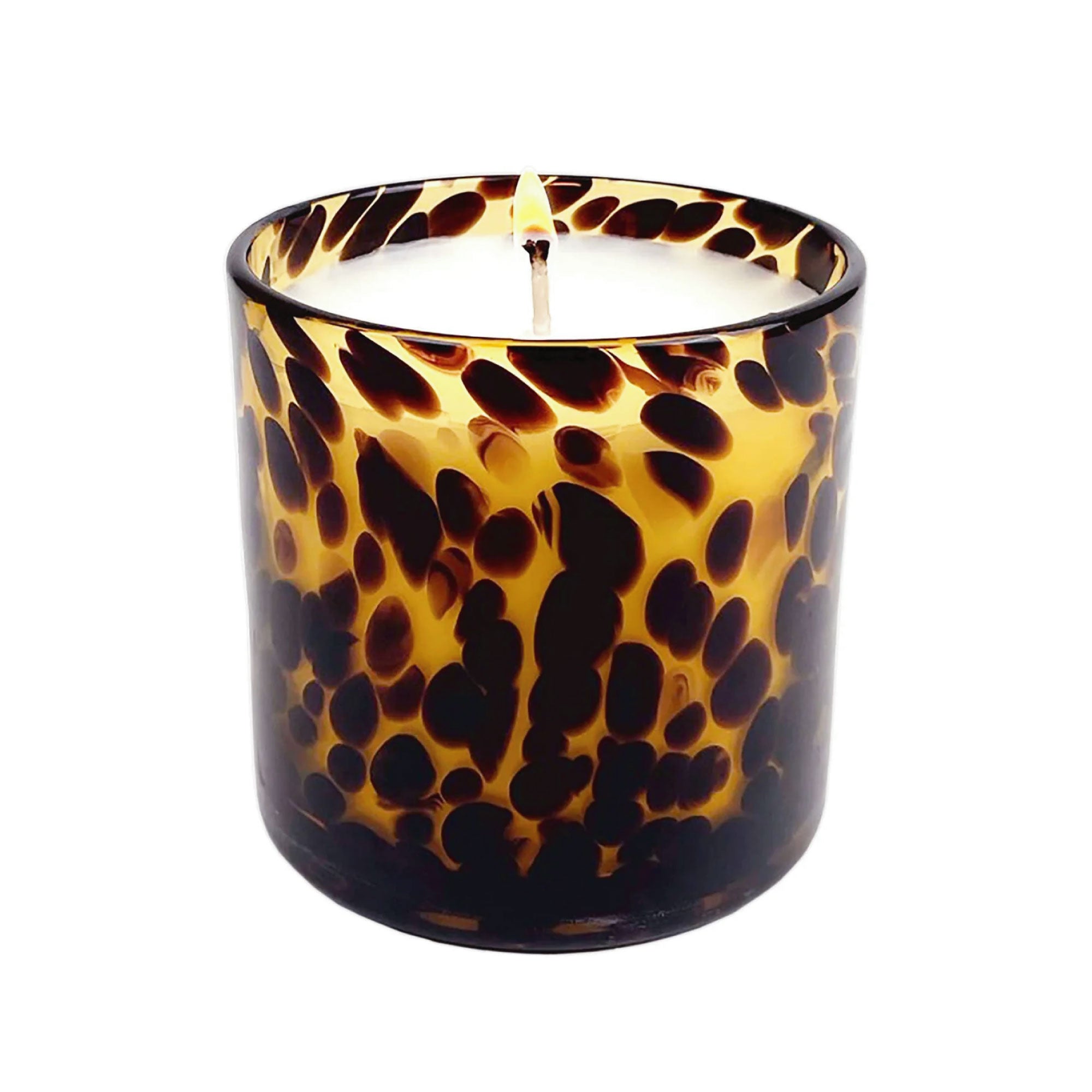 Fig & Aged Oak Amber Tortoise Candle